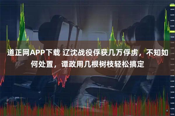 道正网APP下载 辽沈战役俘获几万俘虏,不知如何处置,谭政用几根树枝轻松搞定