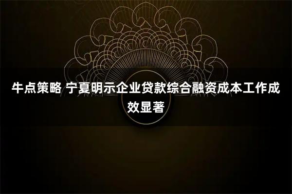 牛点策略 宁夏明示企业贷款综合融资成本工作成效显著