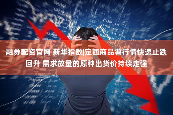 融券配资官网 新华指数|定西商品薯行情快速止跌回升 需求放量的原种出货价持续走强