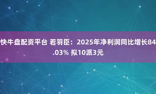 快牛盘配资平台 若羽臣：2025年净利润同比增长84.03% 拟10派3元